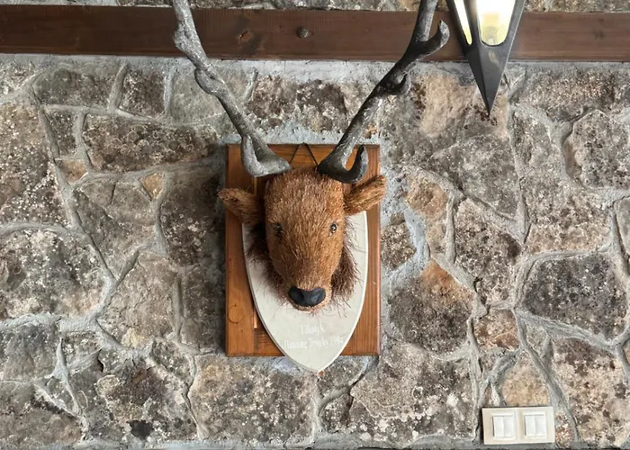 Pensiune в махала кочорите